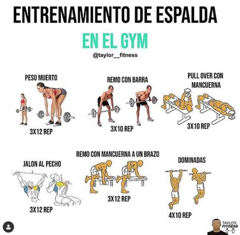 Los mejores ejercicios de espalda de mujer para casa y gym